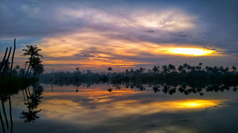 Top Things to Do on a Cochin Munnar Alleppey Tour