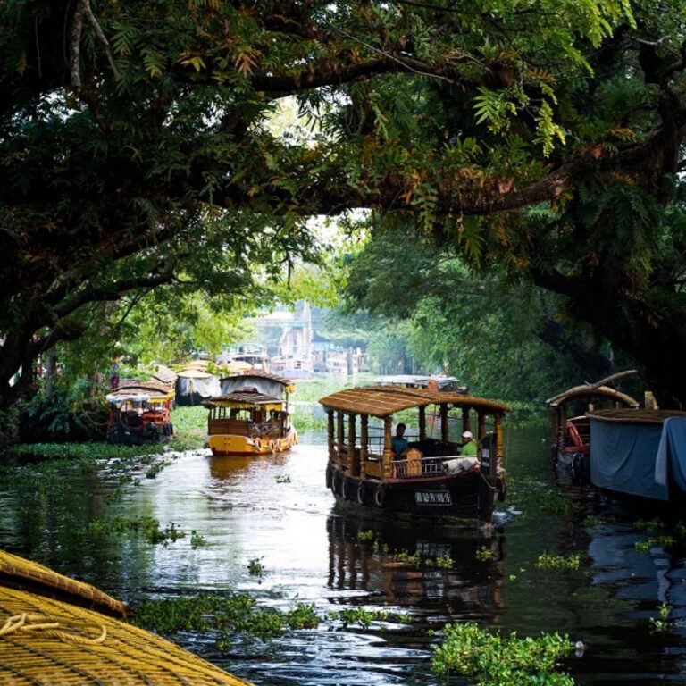 7 days Private Kerala Tour from Kochi