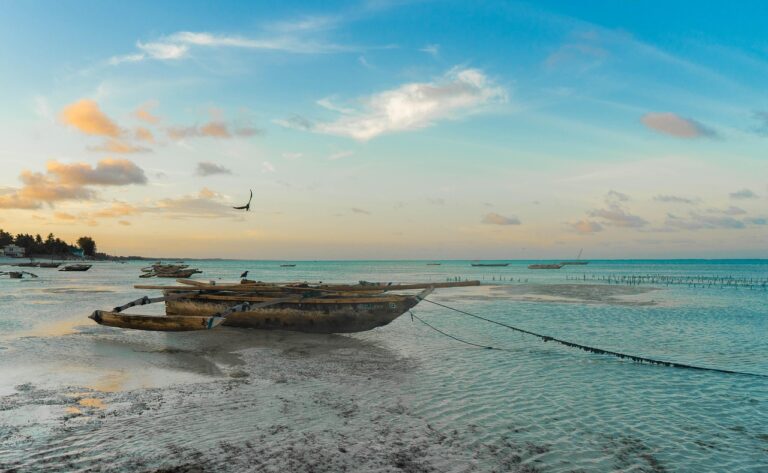 zanzibar safari tour