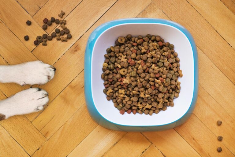 buy pet food in bulk
