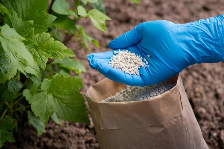 Organic Fertilizer UAE | Humic Acid UAE
