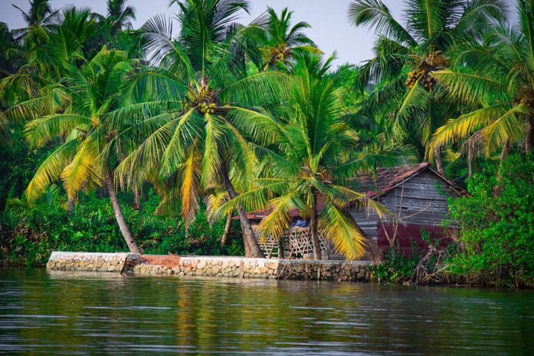 5 night kerala honeymoon trip