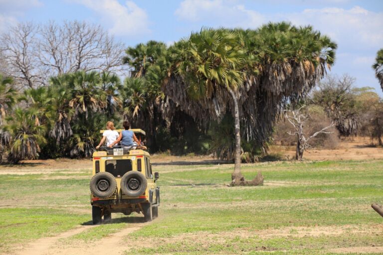masai mara national park packages